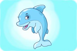 300x200 How To Draw A Cute Dolphin - Dolphin Drawing Step By Step