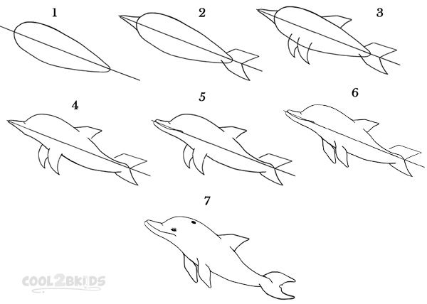 600x428 How To Draw A Dolphin Step - Dolphin Drawing Step By Step
