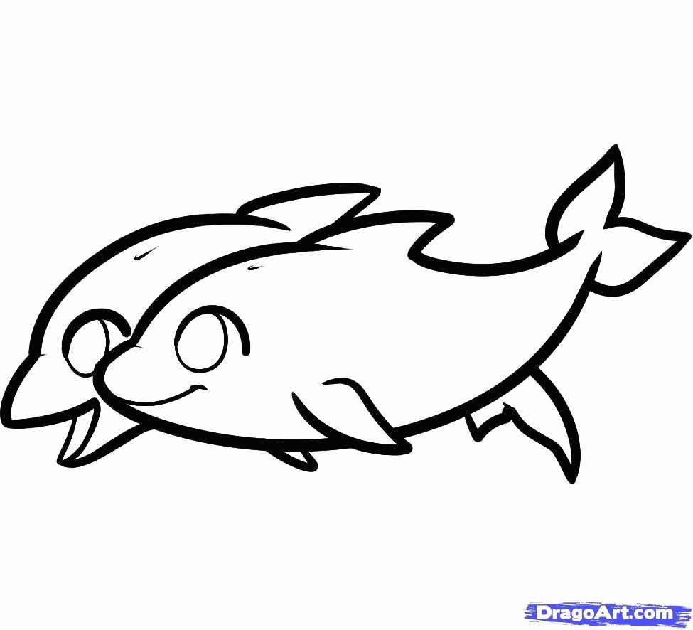975x886 Dolphin Drawing Inspirational How To Draw Dolphins For Kids Step - Dolphin Drawing Step By Step