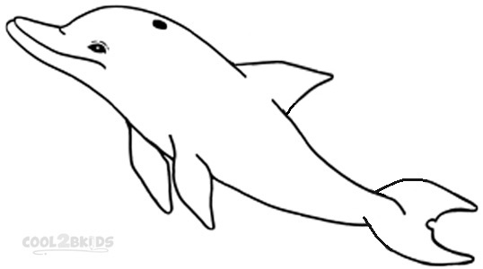 538x300 How To Draw A Dolphin - Dolphin Easy Drawing