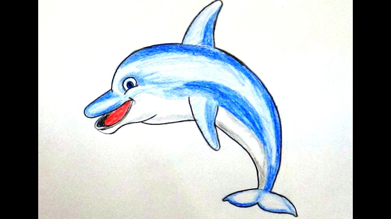 1280x720 how to draw a dolphin how to color a dolphin for beginners - Dolphin Fish Drawing