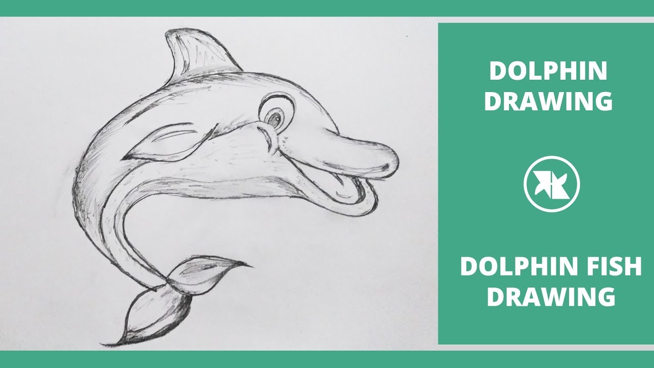 1280x720 how to draw a dolphin fish dolphin drawing step - Dolphin Fish Drawing