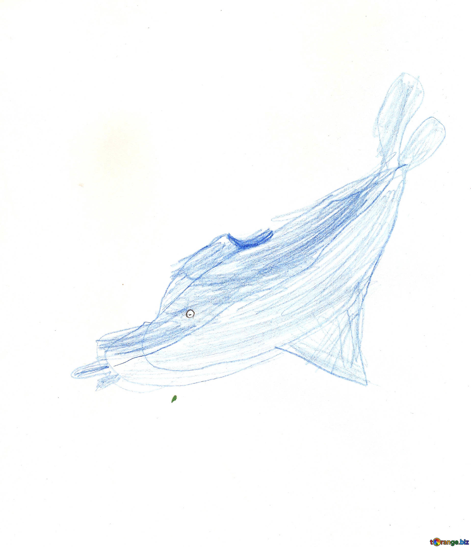 1920x2232 Children's Drawings Fish Pencil Drawing Of Dolphin Children - Dolphin Fish Drawing