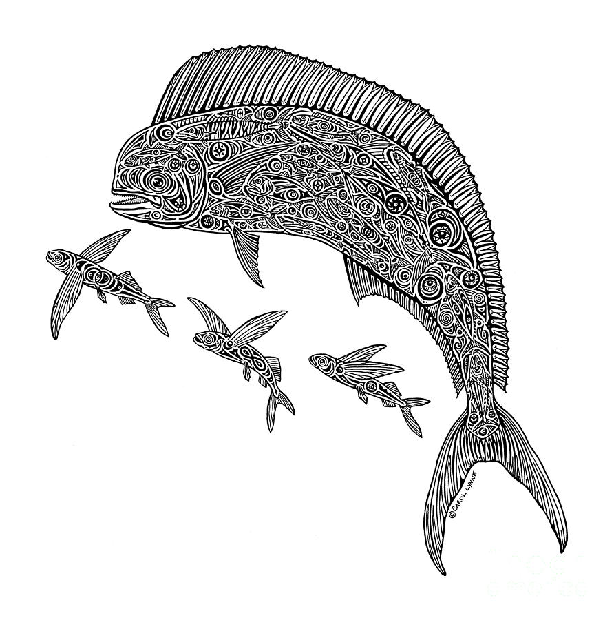892x900 Mahi With Flying Fish Drawing - Dolphin Fish Drawing