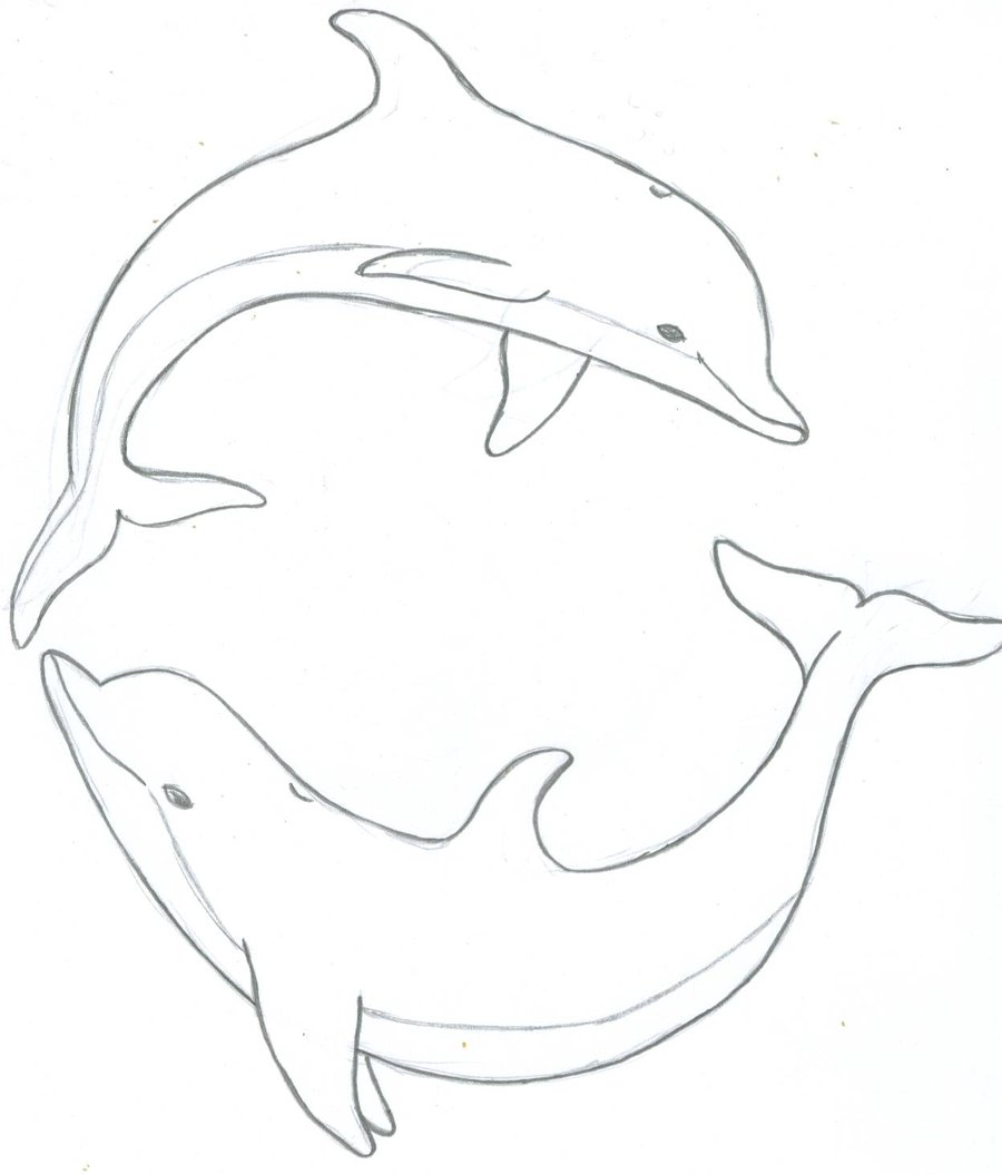 900x1054 Dolphin Drawings Drawing Gallery Clip Art Library - Dolphin For Drawing