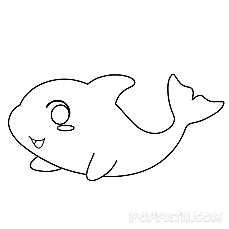 800x800 How To Draw A Dolphin Pop Path - Dolphin For Drawing