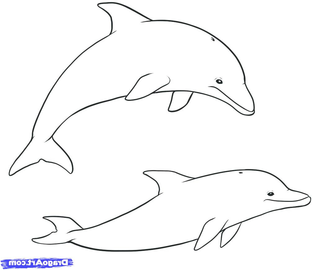 1010x875 how to draw a easy dolphin drawing dolphin cartoon easy to draw - Dolphin For Drawing
