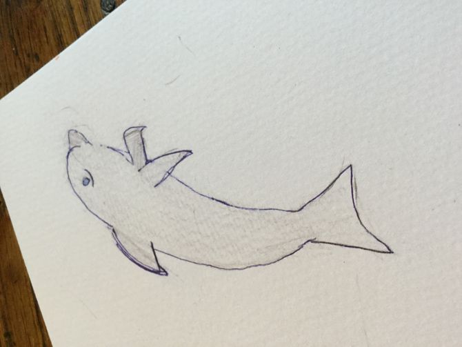 670x503 How To Draw A Dolphin Steps - Dolphin For Drawing