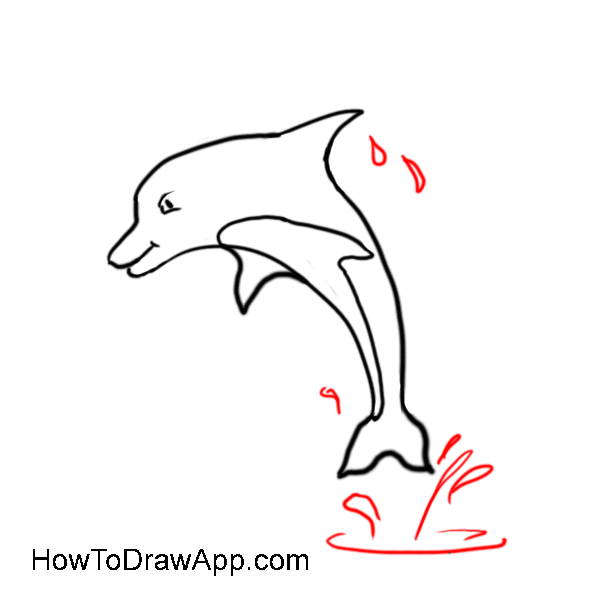 600x600 Learn How To Draw A Dolphin Step - Dolphin For Drawing