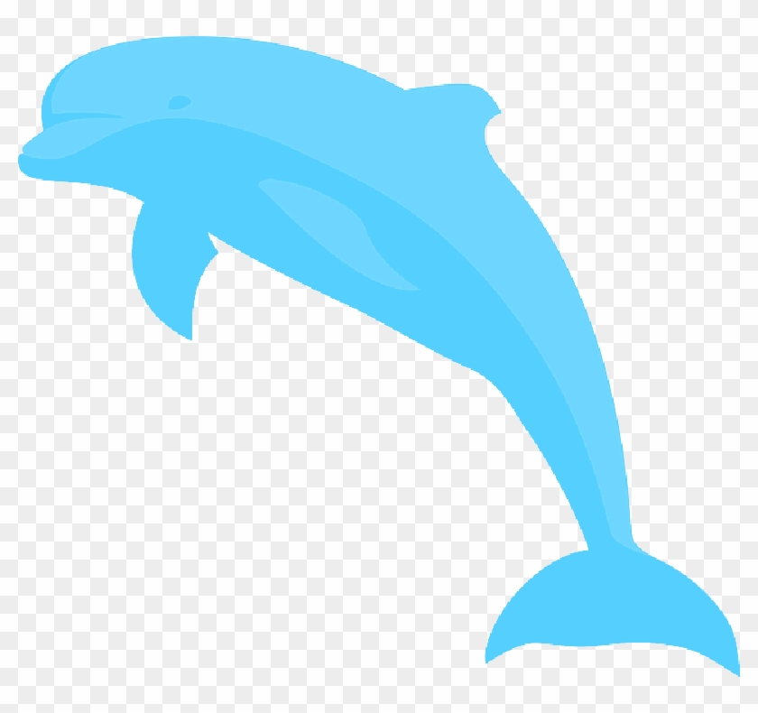 840x790 Ocean - Dolphin For Drawing