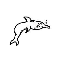 300x250 The Ugly Dolphin Drawing - Dolphin For Drawing