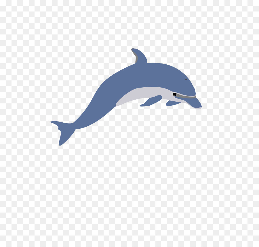 900x860 Dolphin, Drawing, Line, Transparent Png Image Clipart Free Download - Dolphin Images For Drawing