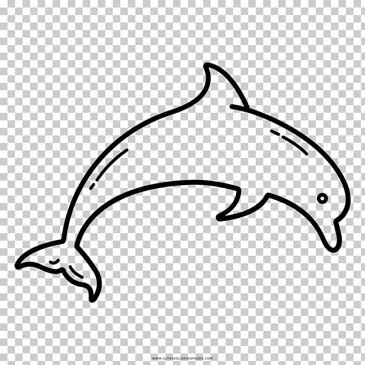 728x728 dolphin drawing coloring book black and white dolphin png - Dolphin Images For Drawing