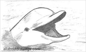 293x179 Dolphin Drawings Free Download Clip Art - Dolphin Images For Drawing