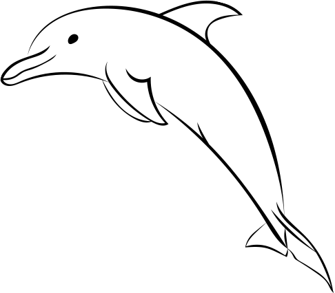 486x426 snorkel drawing maui dolphin transparent png clipart free - Dolphin Images For Drawing