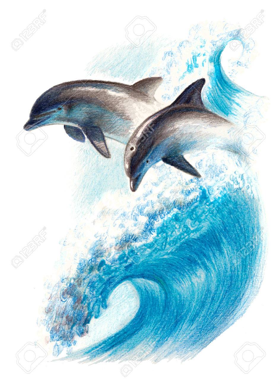 944x1300 Unlimited Color Of Dolphins Dolphin Water Colour Drawings - Dolphin Images For Drawing