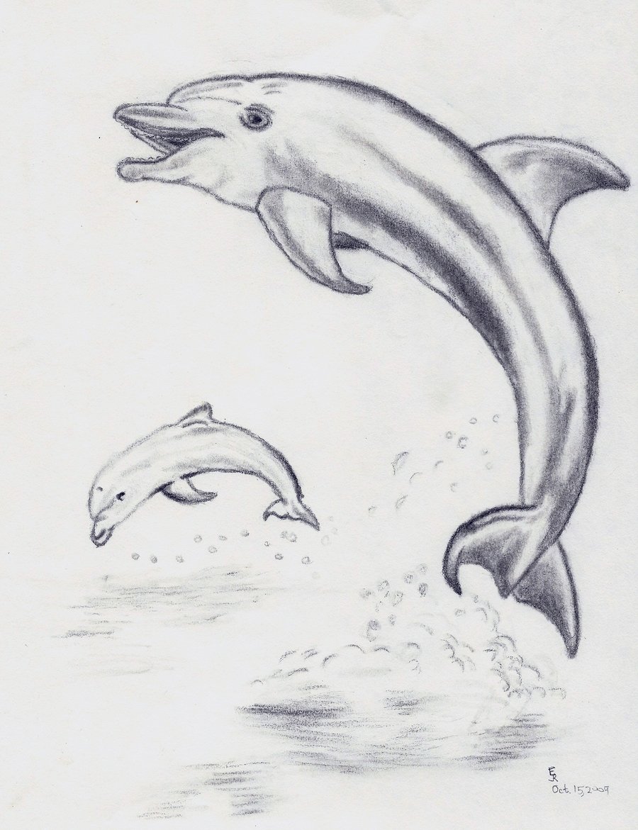 Dolphin Jumping Drawing at Explore collection of