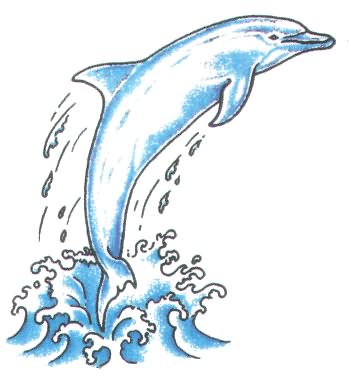 351x377 dolphin jumping out of water drawing - Dolphin Jumping Drawing