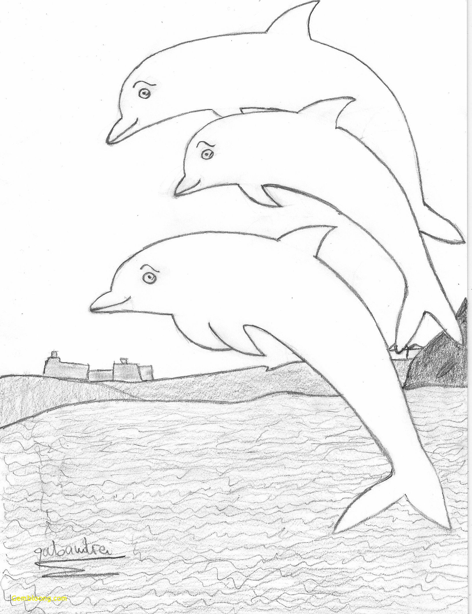 1638x2130 outstanding how to draw a dolphin jumping out of the water - Dolphin Jumping Drawing