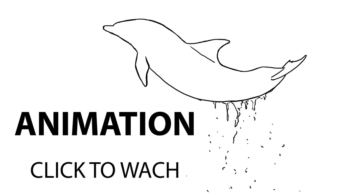 1178x679 jumping bottlenose dolphin drawing - Dolphin Jumping Drawing