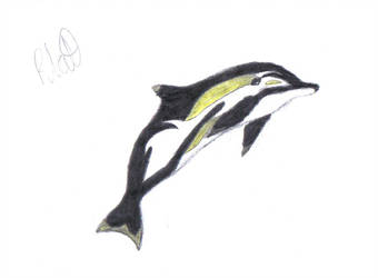 340x250 Dolphindrawing Explore Dolphindrawing - Dolphin Jumping Drawing