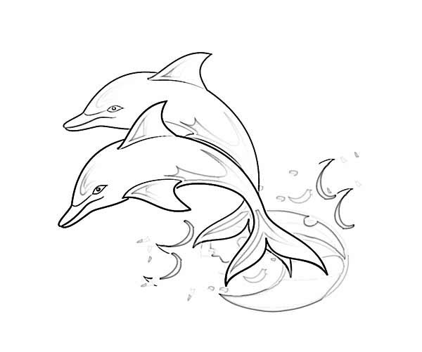 600x501 Dolphin Line Drawing - Dolphin Line Drawing