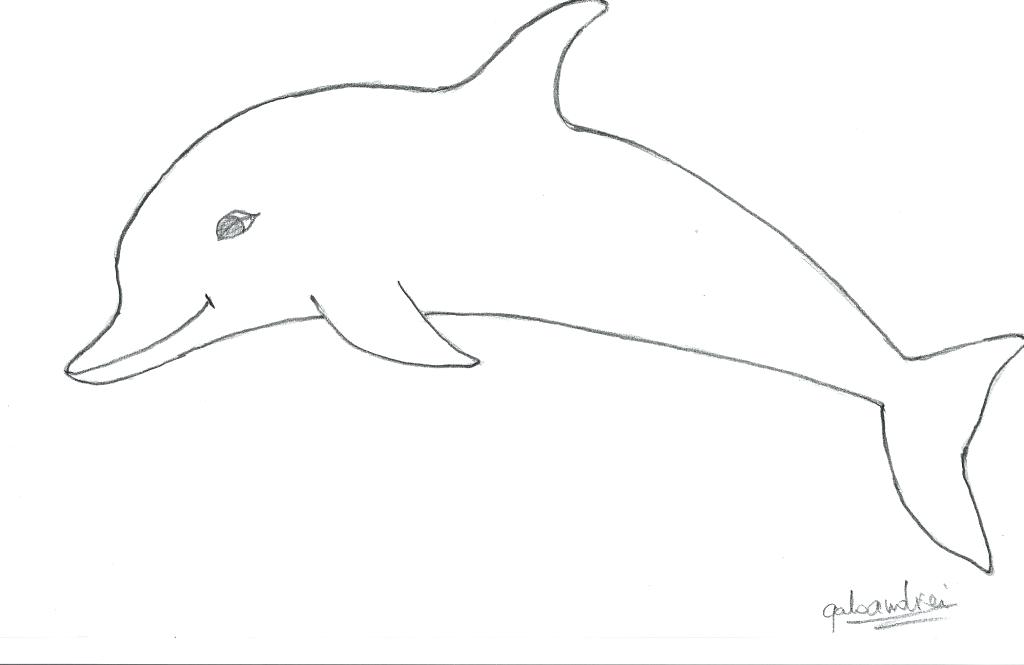 1024x665 How To Draw Dolphin Coloring Draw Cartoon Dolphin Step Step - Dolphin Line Drawing