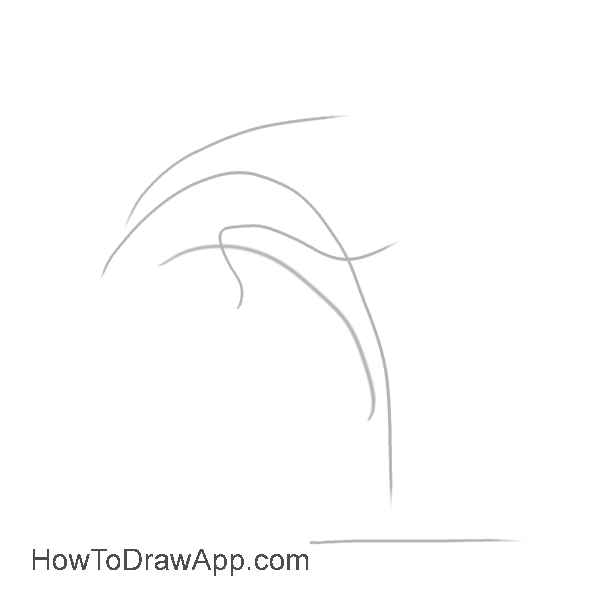 600x600 Learn How To Draw A Dolphin Step - Dolphin Line Drawing