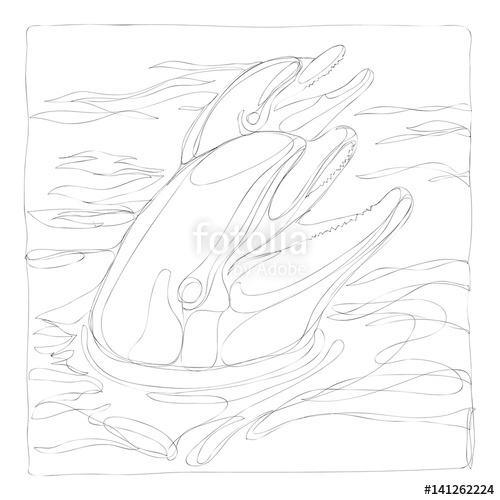 500x500 Beautiful Dolphins Line Art Continuous Line Drawing Stock Image - Dolphin Line Drawing
