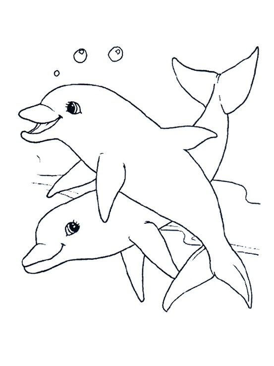 553x738 dolphin line drawing digi stamp art animals, reptiles - Dolphin Line Drawing