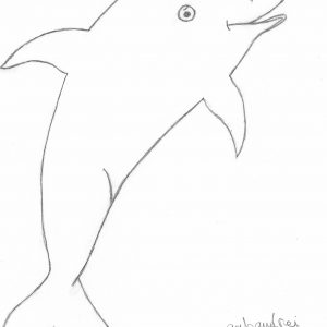 300x300 dolphin outline fresh dolphin outline drawing line drawing dolphin - Dolphin Outline Drawing
