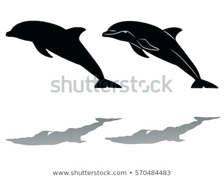 450x358 Drawing Dolphins Outline Lefthook - Dolphin Outline Drawing