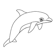 230x230 Top Free Printable Dolphin Coloring Pages Online - Dolphin Outline Drawing