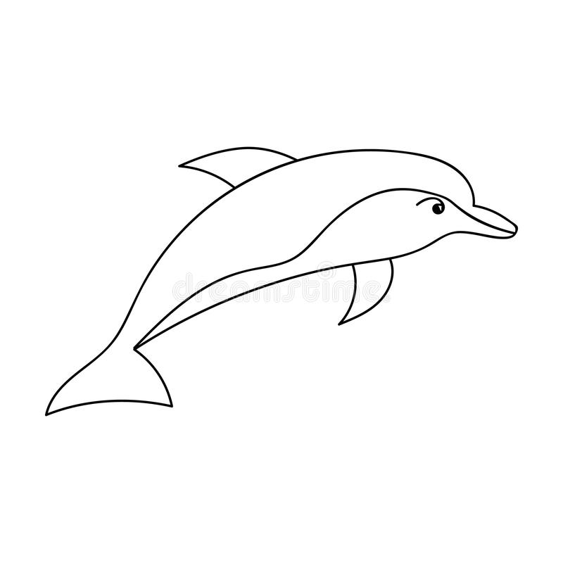 800x800 Dolphin Outline Dolphn In Outline Style Isolated On White - Dolphin Outline Drawing