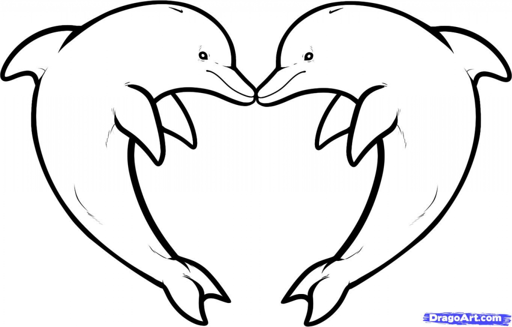 1024x654 dolphin outline dolphin outline drawing - Dolphin Outline Drawing