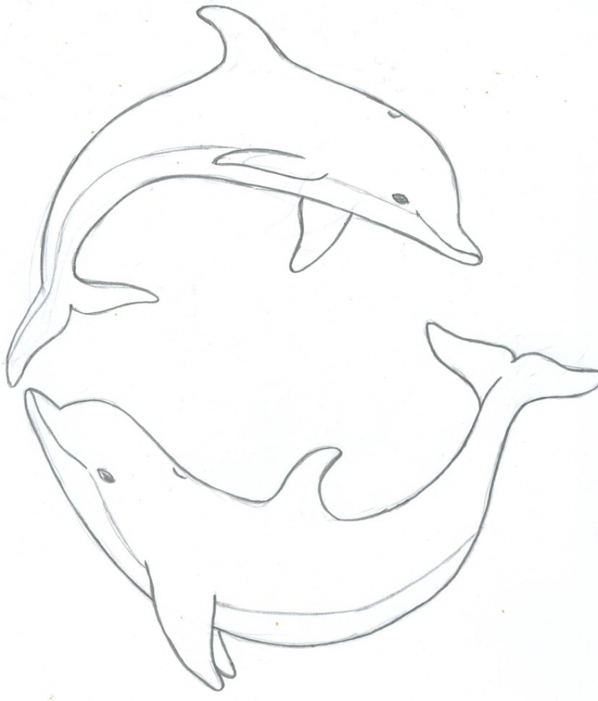 873x1024 animals for dolphin drawings pencil dolphins like to talk last - Dolphin Pencil Drawing