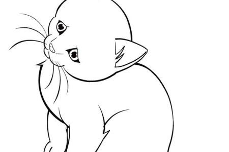 450x300 How Do You Draw A Dolphin Step - Dolphin Step By Step Drawing