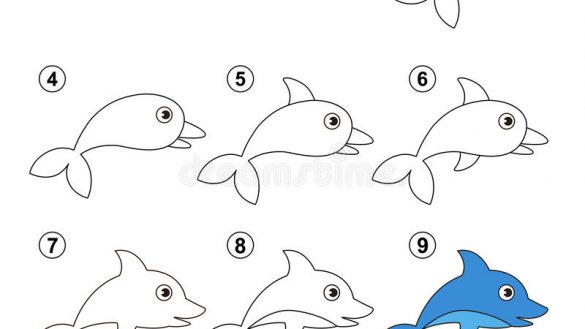 585x329 How To Draw A Dolphin Step - Dolphin Step By Step Drawing