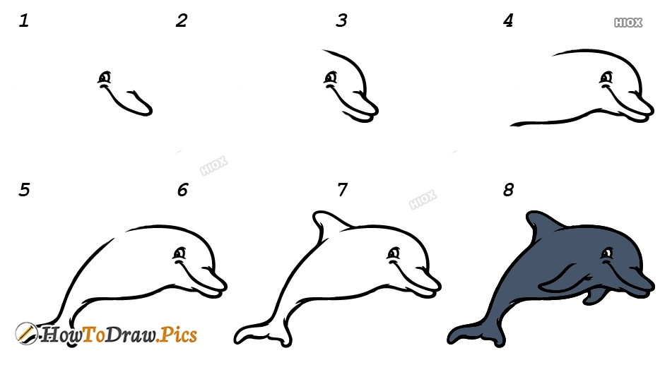 How To Draw A Dolphin How To Draw A Dolphin Step By Step Sea