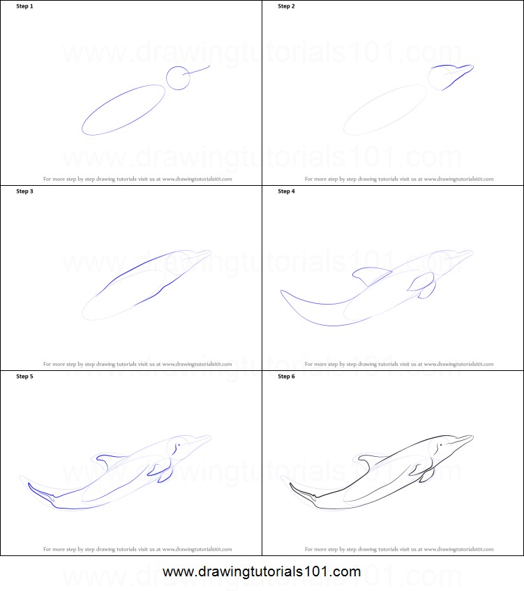 751x846 At How To Draw A Dolphin Easy Step - Dolphin Step By Step Drawing