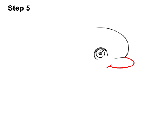 500x386 How To Draw A Dolphin - Dolphin Step By Step Drawing