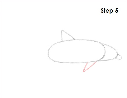 500x386 How To Draw A Dolphin - Dolphin Step By Step Drawing