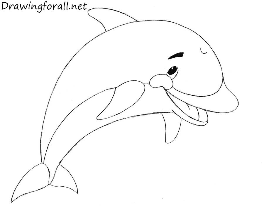 900x702 Huge Collection Of 'dolphins Step - Dolphin Step By Step Drawing