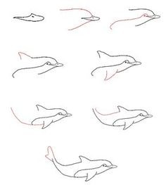 236x263 Drawing Dolphins Step - Dolphin Step By Step Drawing