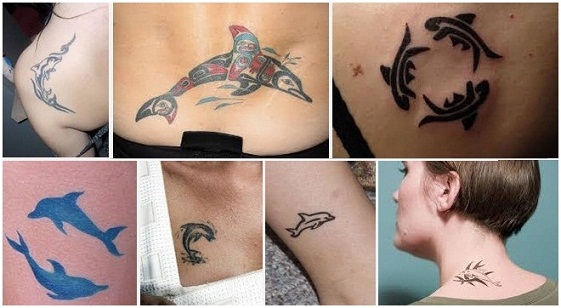 561x308 Amazing Dolphin Tattoo Designs And Meanings - Dolphin Tattoo Drawings