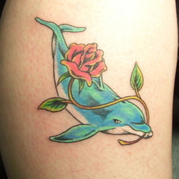 350x350 Dolphin Tattoo Meanings - Dolphin Tattoo Drawings