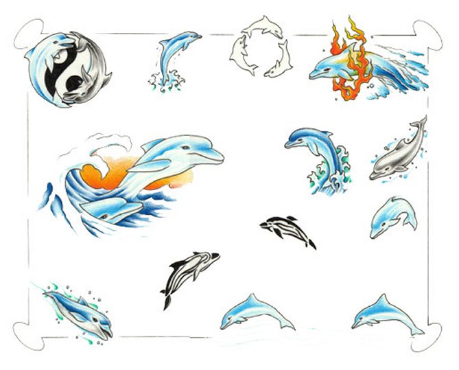 669x539 Dolphin Tattoos - Dolphin Tattoo Drawings