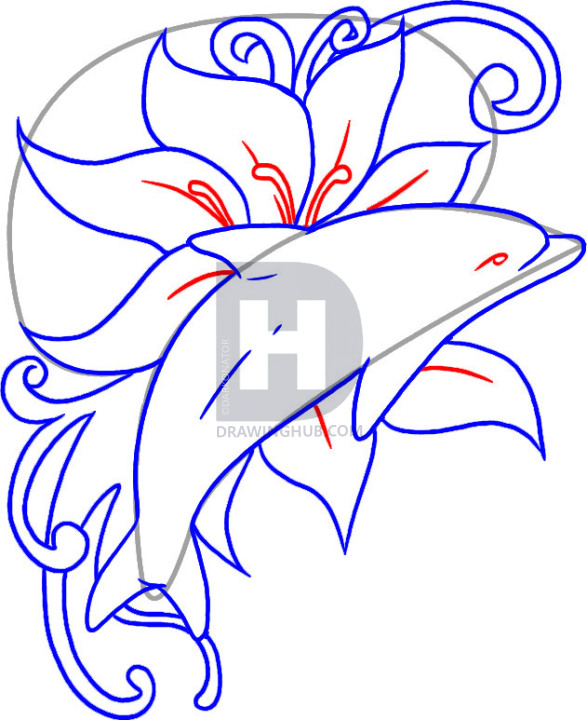 587x720 How To Draw A Dolphin Tattoo, Step - Dolphin Tattoo Drawings