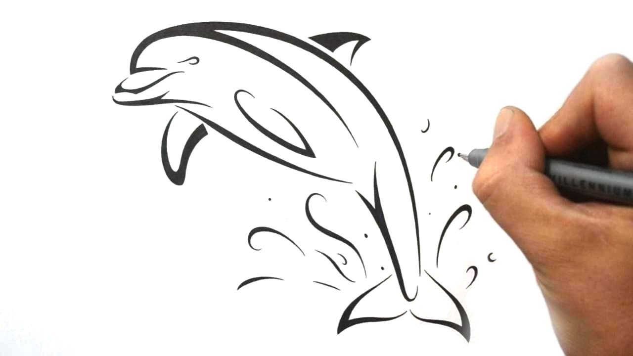 1280x720 How To Draw A Dolphin - Dolphin Tattoo Drawings