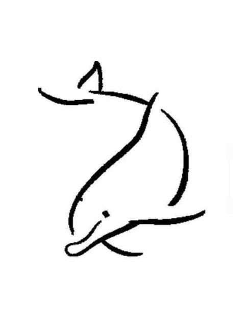 480x622 Dolphin Tattoo Sketch - Dolphin Tattoo Drawings